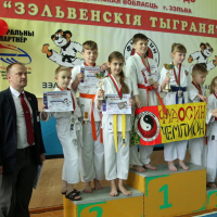 The 11th  Republican competitions in Shotokan Karate-Do “Tiger Cubs of Zelva”