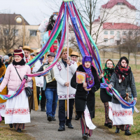 The regional holiday «Pancake walk» 