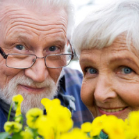 &quot;To you, dear veterans and elderly people&quot; 