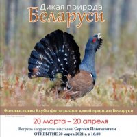 Wystawa fotograficzna „Przyroda Białorusi”